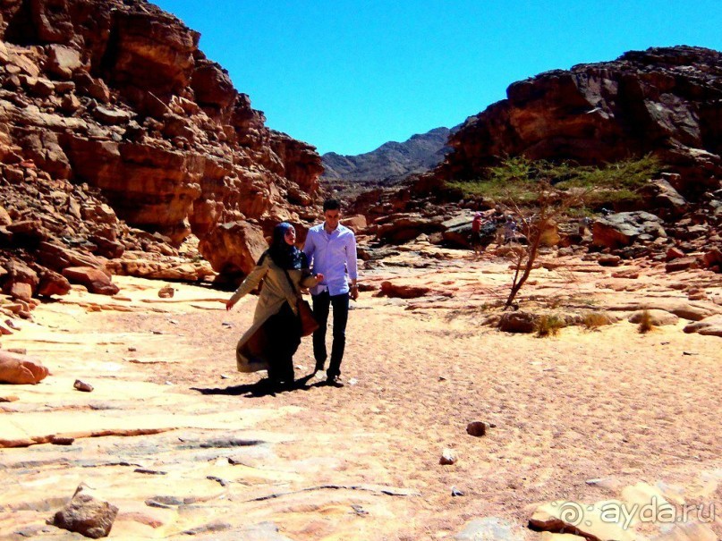 Сафари   по   Синайской   пустыне.  Цветной   каньон.