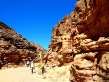 Снято   сквозь   решетку.  Это   вход   в   обнаруженные   усыпальницы.