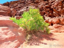 Внутрь   помещения   вход   запрещен.  Любуемся   только   наружними   красотами.