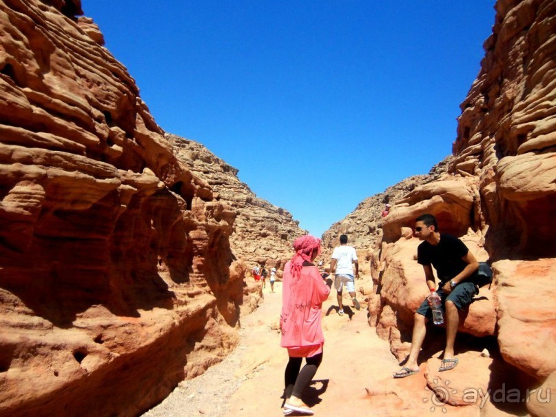 Сафари   по   Синайской   пустыне.  Цветной   каньон.