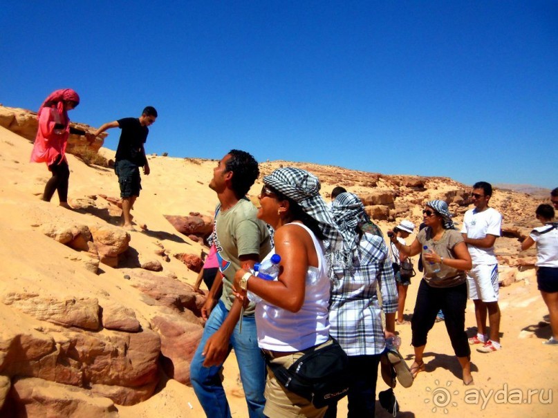 Вот  он   дворец   во   всей   красе.