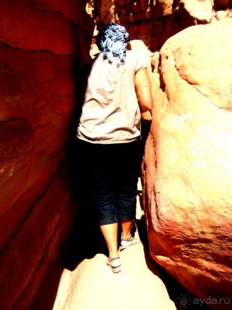 Сафари   по   Синайской   пустыне.  Цветной   каньон.