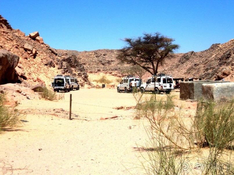 Сафари   по   Синайской   пустыне.  Цветной   каньон.