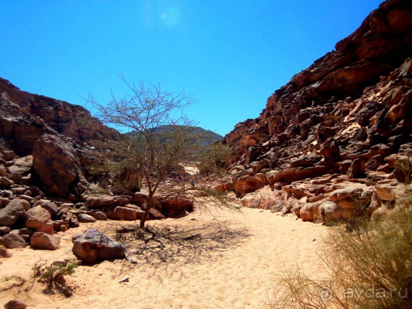 Сафари   по   Синайской   пустыне.  Цветной   каньон.