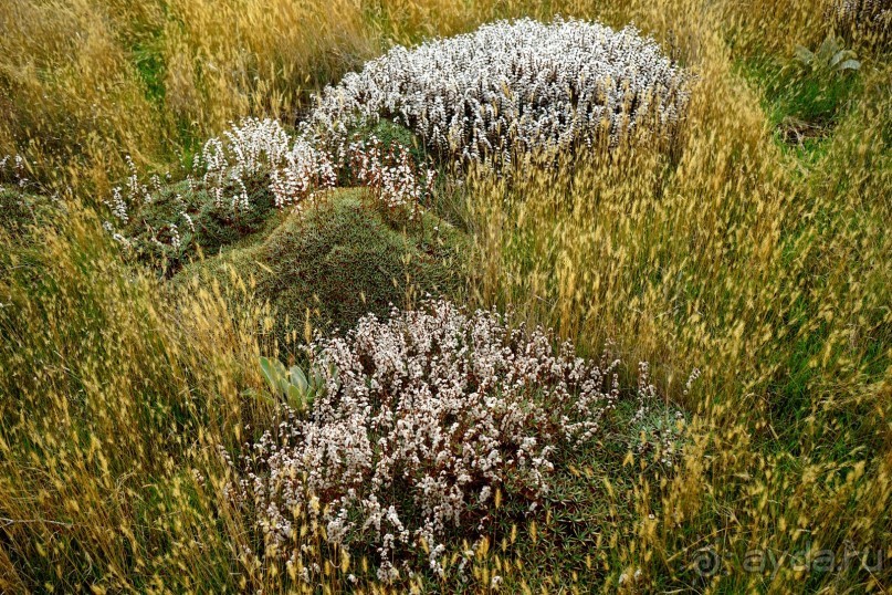 Древняя Фригия. Мидас.