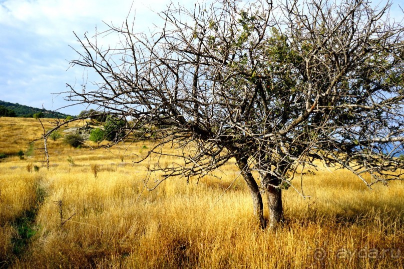 Древняя Фригия. Мидас.