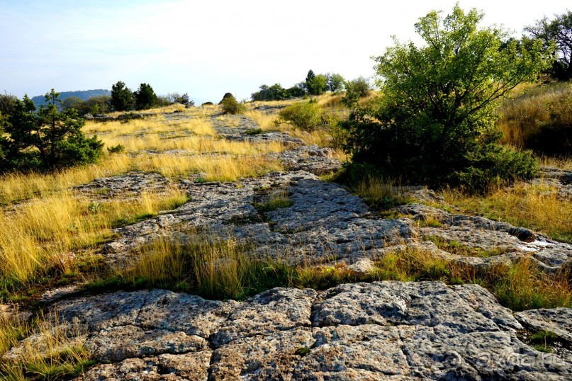 Древняя Фригия. Мидас.