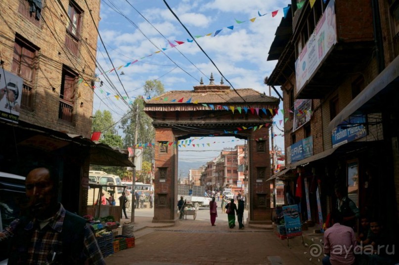 Мы  такого  не  видали  никогда.