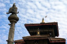 Мы  такого  не  видали  никогда.