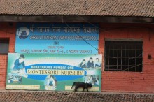 Мы  такого  не  видали  никогда.