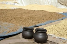 Мы  такого  не  видали  никогда.