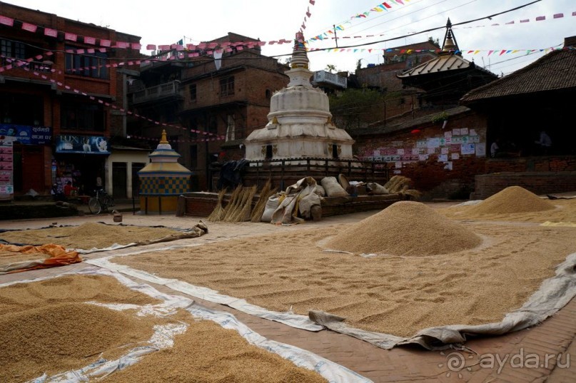 Мы  такого  не  видали  никогда.
