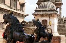 Мы  такого  не  видали  никогда.