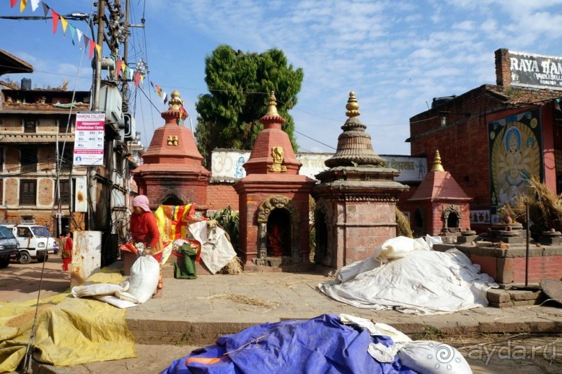 Мы  такого  не  видали  никогда.