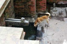 Мы  такого  не  видали  никогда.