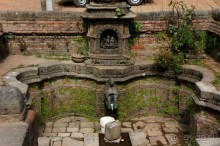 Мы  такого  не  видали  никогда.