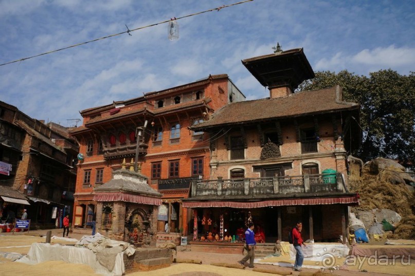 Мы  такого  не  видали  никогда.