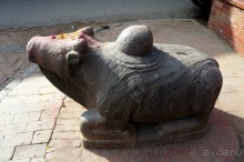 Мы  такого  не  видали  никогда.