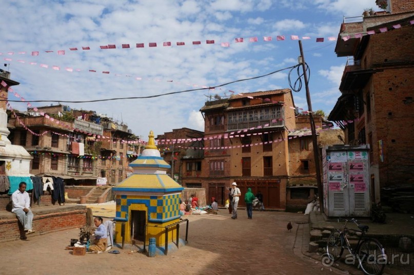 Мы  такого  не  видали  никогда.