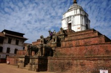 Мы  такого  не  видали  никогда.