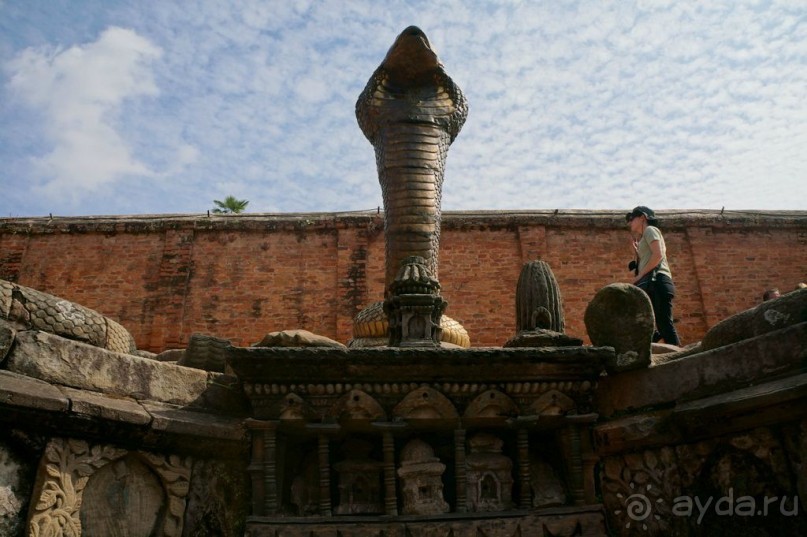 Мы  такого  не  видали  никогда.