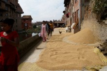 Мы  такого  не  видали  никогда.