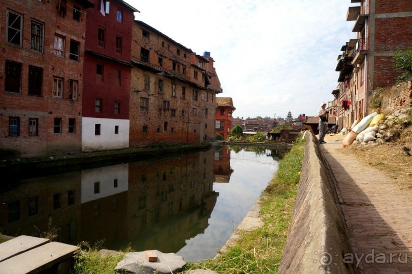 Мы  такого  не  видали  никогда.