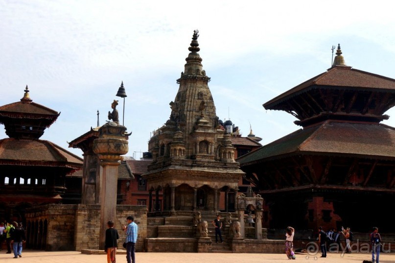 Мы  такого  не  видали  никогда.