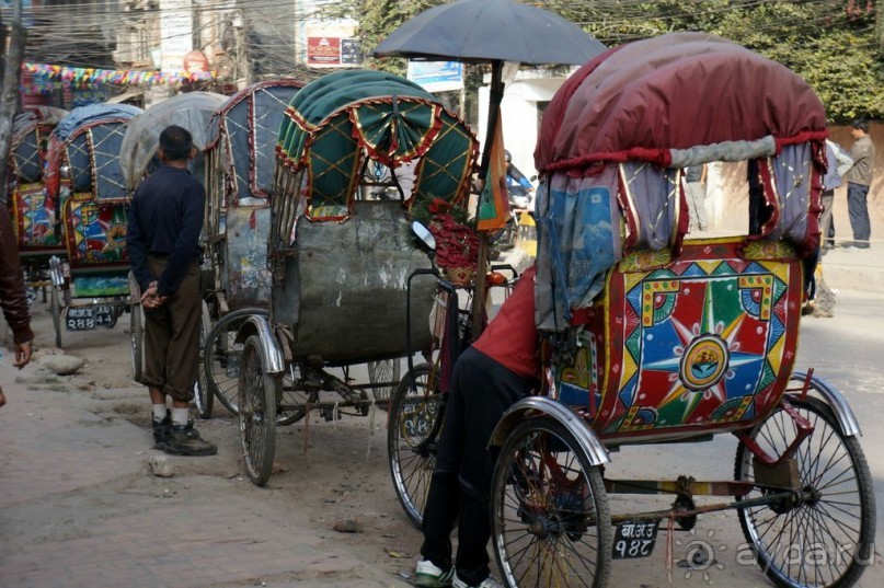 Мы  такого  не  видали  никогда.