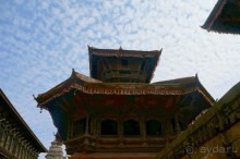 Мы  такого  не  видали  никогда.