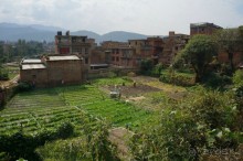 Мы  такого  не  видали  никогда.