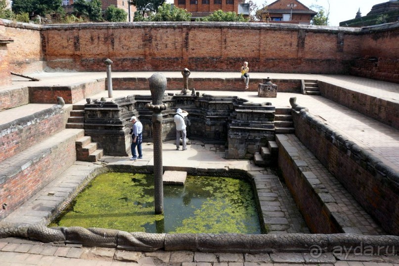 Мы  такого  не  видали  никогда.