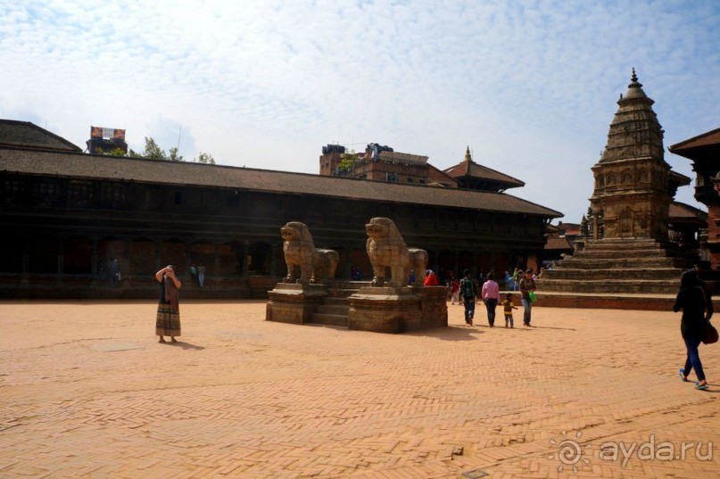 Мы  такого  не  видали  никогда.