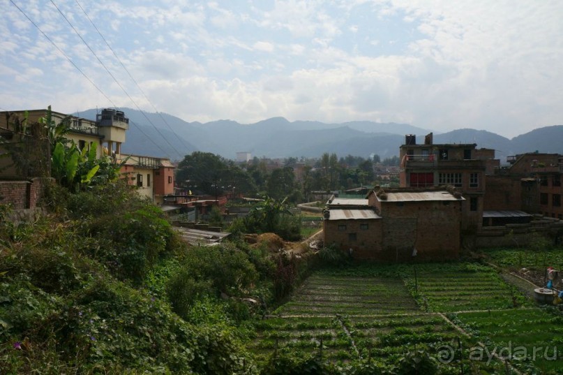 Мы  такого  не  видали  никогда.