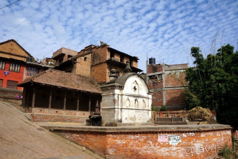 Мы  такого  не  видали  никогда.