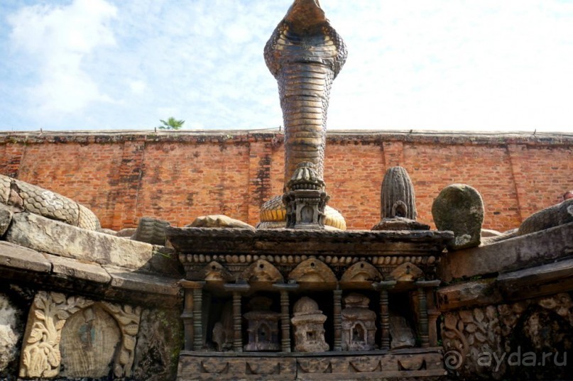 Мы  такого  не  видали  никогда.