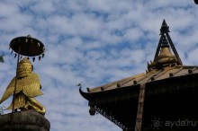 Мы  такого  не  видали  никогда.