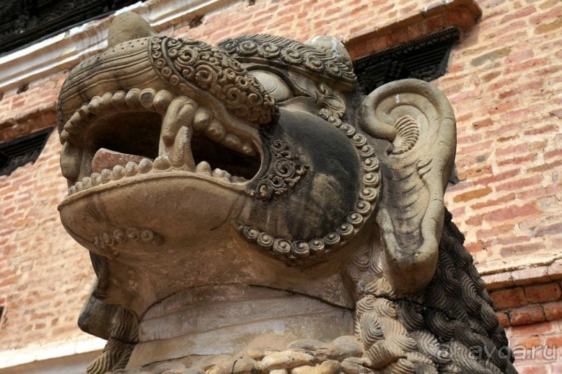 Мы  такого  не  видали  никогда.