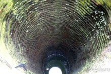 Мы  такого  не  видали  никогда.