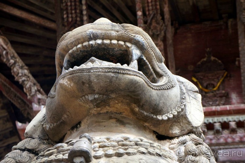 Мы  такого  не  видали  никогда.