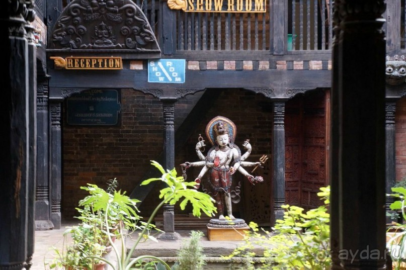 Мы  такого  не  видали  никогда.