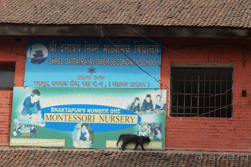 Мы  такого  не  видали  никогда.