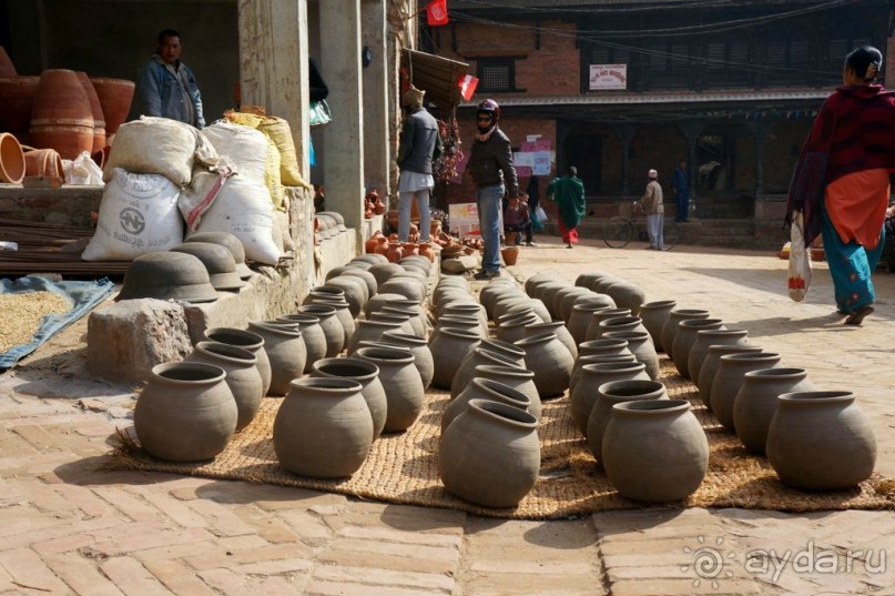 Мы  такого  не  видали  никогда.