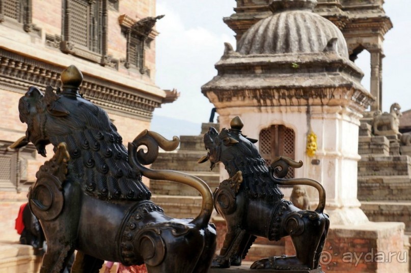 Мы  такого  не  видали  никогда.