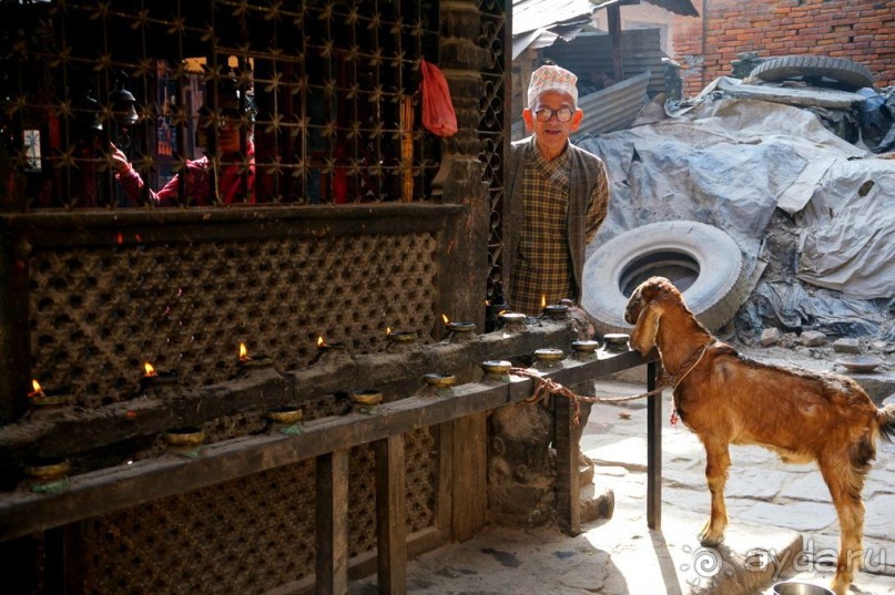 Мы  такого  не  видали  никогда.