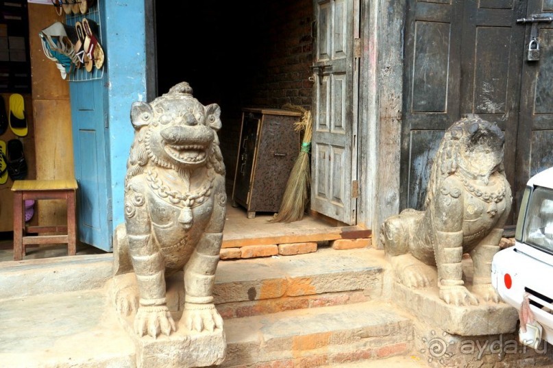 Мы  такого  не  видали  никогда.