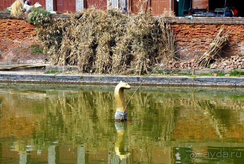 Мы  такого  не  видали  никогда.