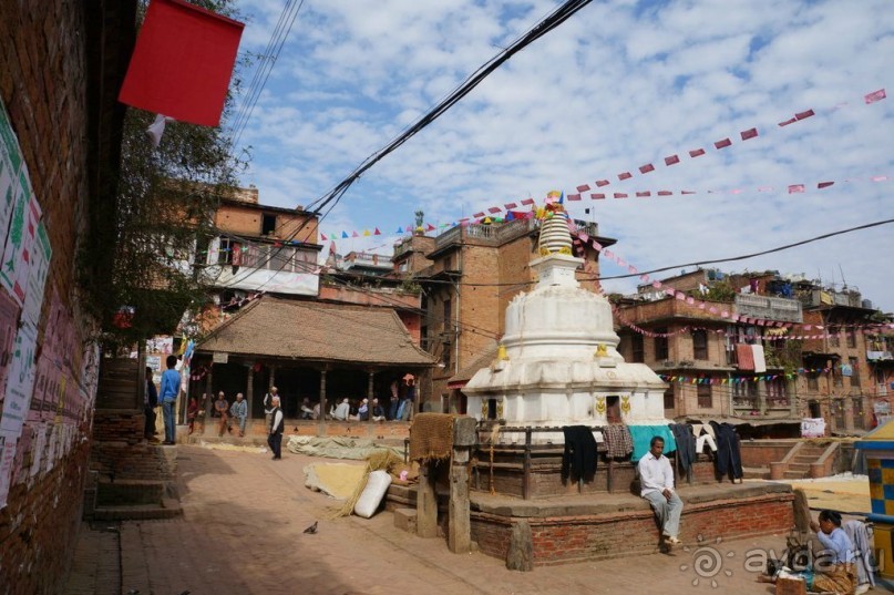 Мы  такого  не  видали  никогда.