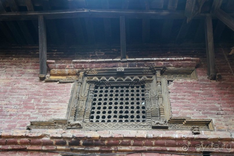 Мы  такого  не  видали  никогда.