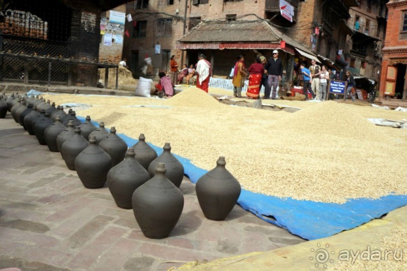 Мы  такого  не  видали  никогда.